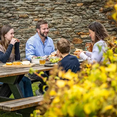 Manoir De Sterpigny, Chateau-ferme 17eme Siecle La Tour 度假居