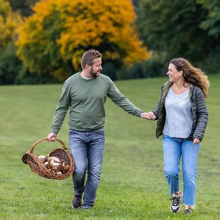 Manoir De Sterpigny, Chateau-ferme 17eme Siecle La Tour 度假居