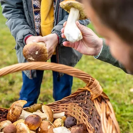 Manoir De Sterpigny, Chateau-ferme 17eme Siecle La Tour * Gouvy