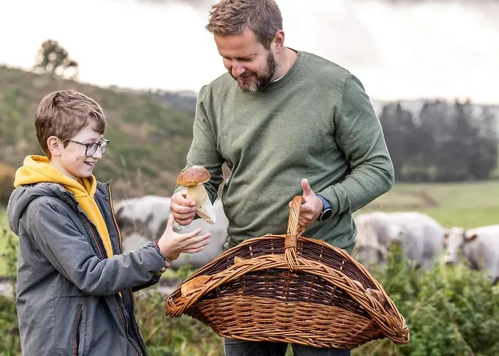 Manoir De Sterpigny, Chateau-ferme 17eme Siecle La Tour