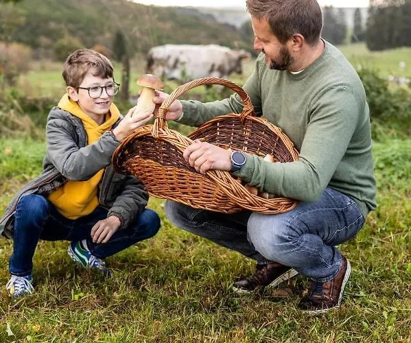 Manoir De Sterpigny, Chateau-ferme 17eme Siecle La Tour Gouvy