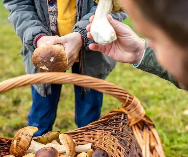 Manoir De Sterpigny, Chateau-ferme 17eme Siecle La Tour * Gouvy