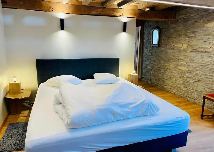 Manoir De Sterpigny, Chateau-ferme 17eme Siecle La Tour Holiday home Gouvy